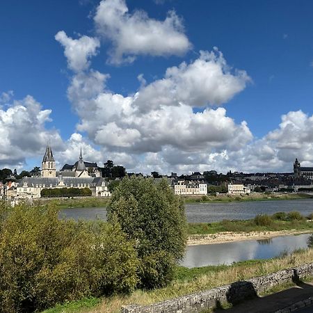 Gites Des Cygnes Vue Sur Loire Et Linge Inclus Blois Ngoại thất bức ảnh